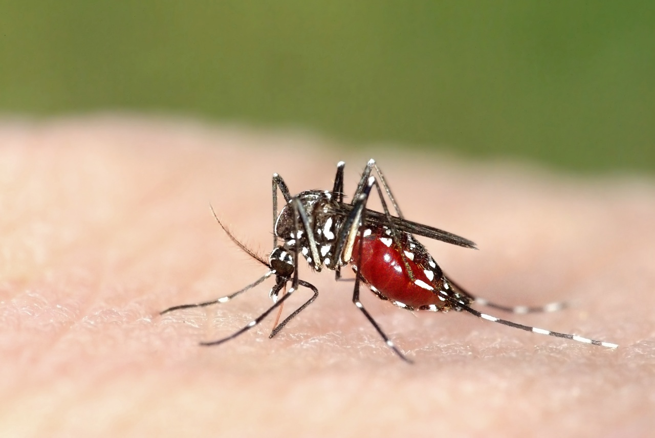Culinex® Tab, la risposta naturale di Copyr alla lotta alle zanzare
